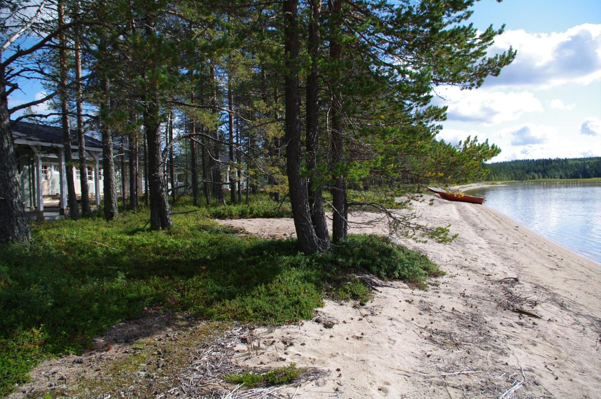 Aneen Loma Vacation And Cottages Posio Quarto foto